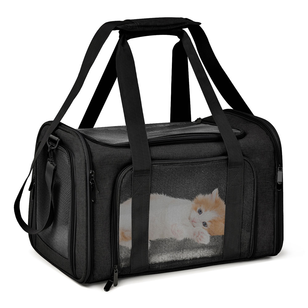 Foldable Waterproof Travel Cat - Foldable Backpack Small review and price